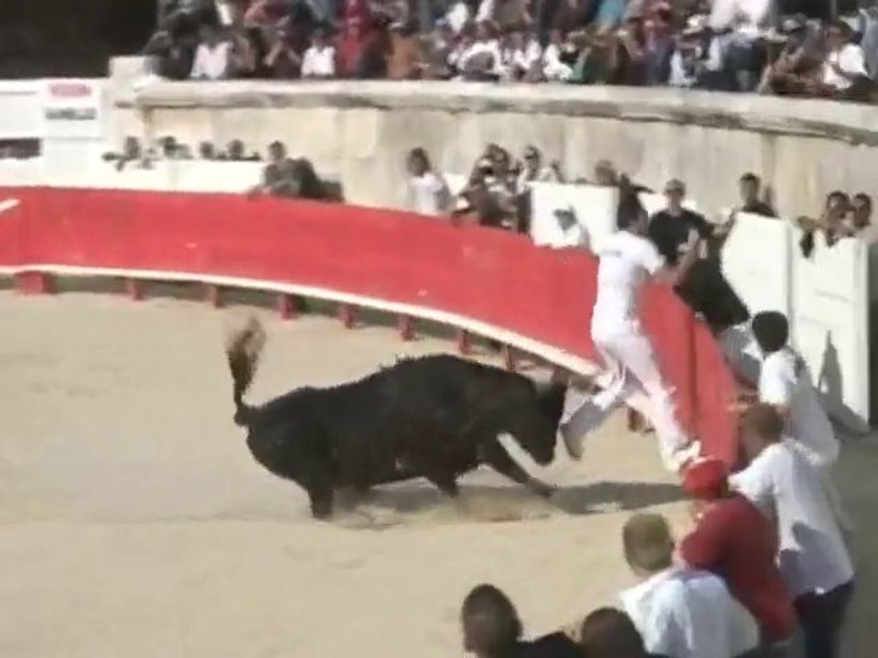 Course camarguaise: Avant goût aux arènes de Nîmes
