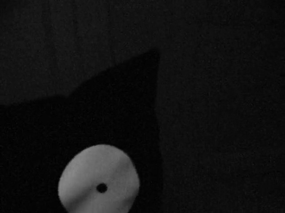 weird pillow.