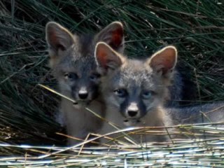 Am I Bipolar, or Is that Mind ?