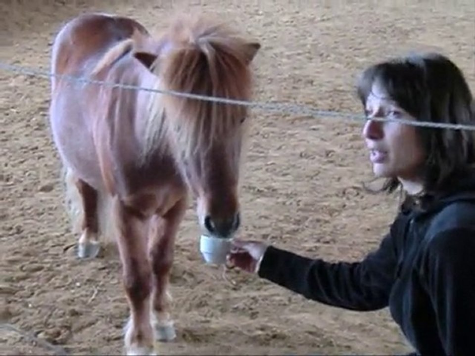 finca le 15 05 10