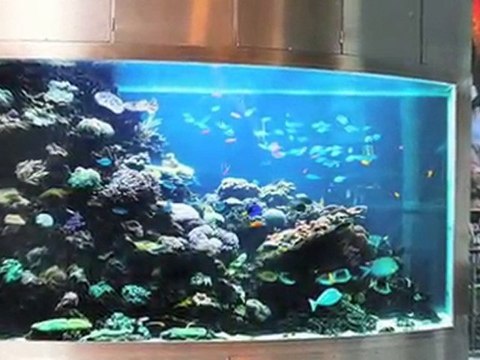 Dyrehandlere Sjælland Ishøj Aquaclean Aps