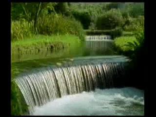 Hazreti Nuh'un duaları