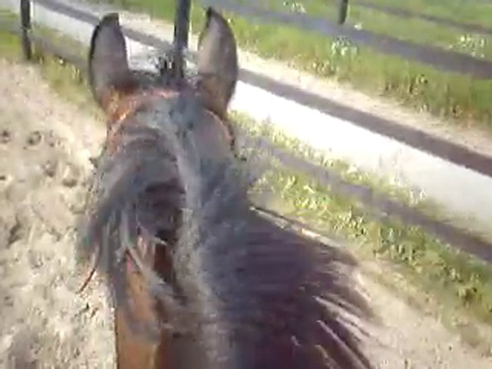 La vue qu'on a de ma Queen