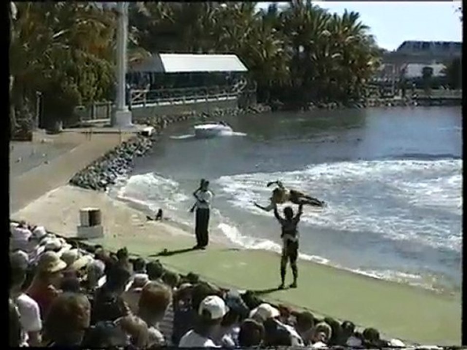Sea World Waterski
