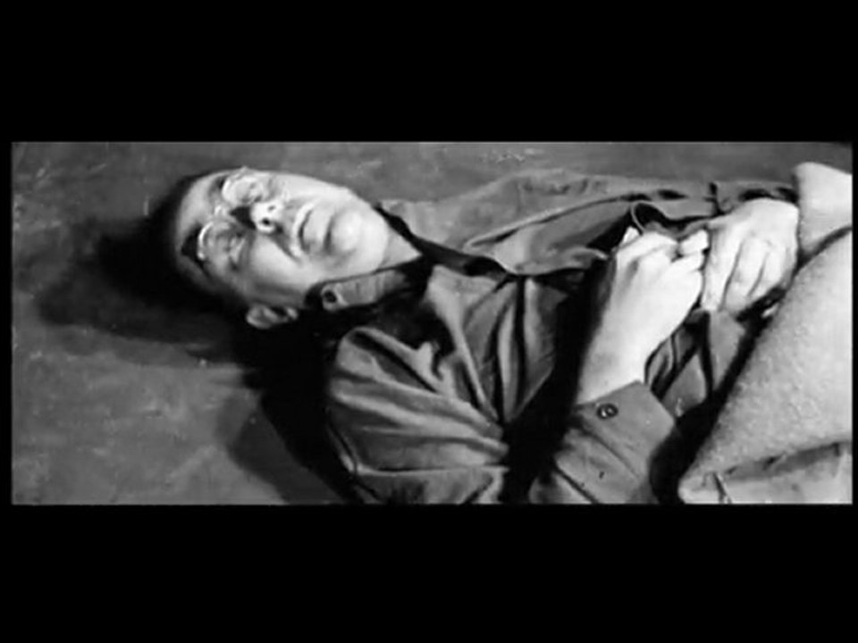 henrich himler,anatomie d'un tueur de masse part3