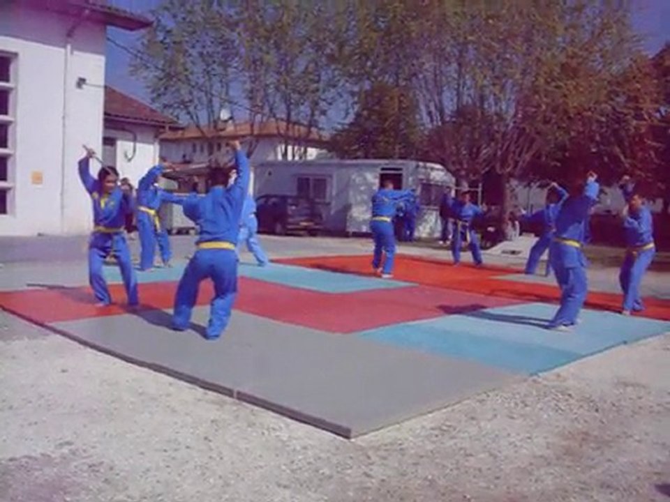 Vovinam viet vo dao démonstration bacalan 04/2010 - 21