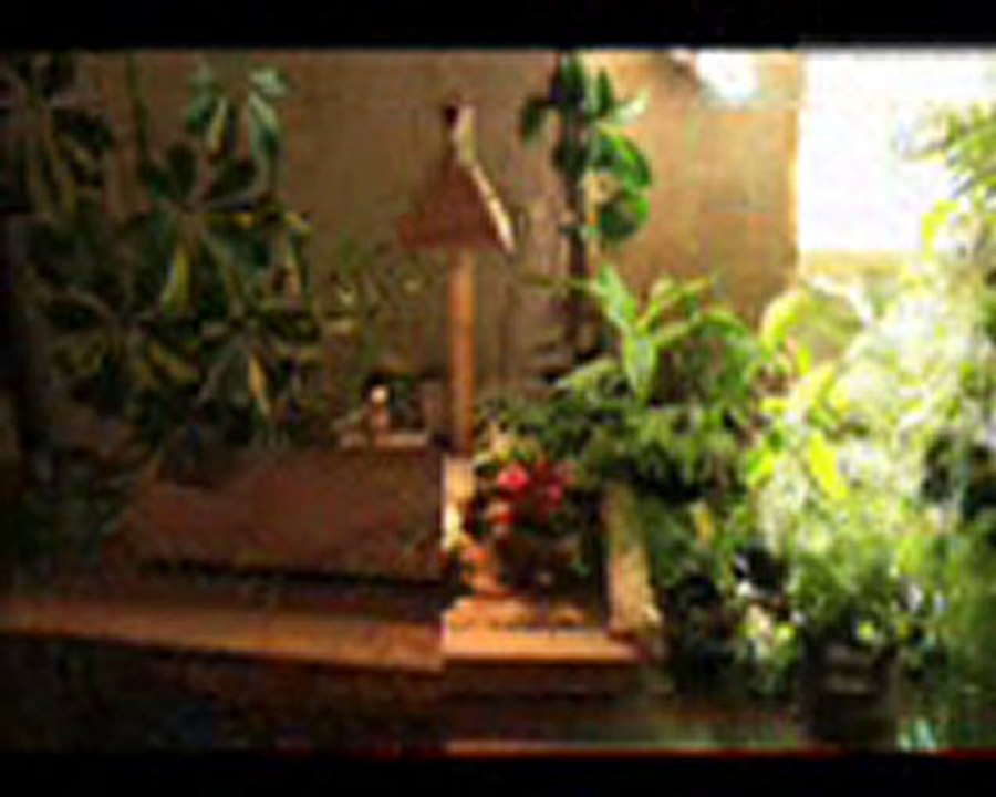 montage vido cascadesfirst edition.WMV