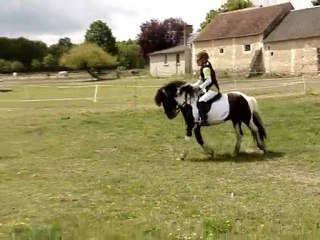 le gué avec bizon