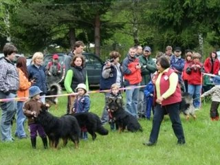 Expos canines BDB Jesenik
