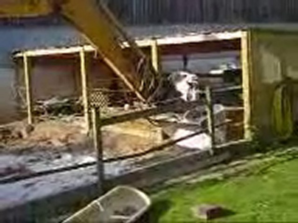 hannah et la grue