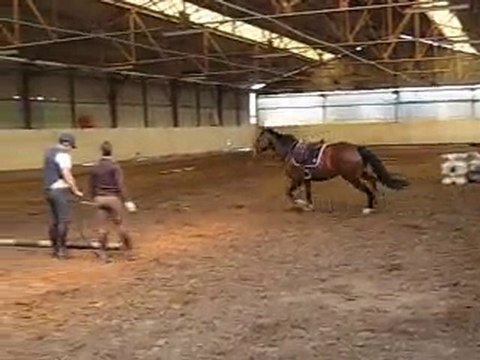 Top Model debourrage en longe 20100519 01