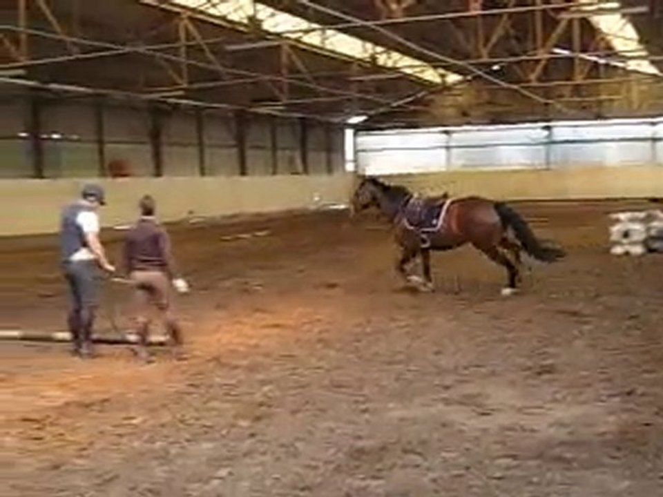 Top Model debourrage en longe 20100519 01