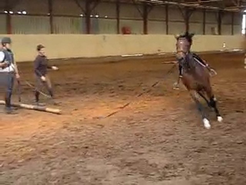 Top Model debourrage en longe 20100519 02