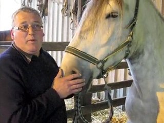 Sancourt: La belle histoire d'une jument sauvée de la noyade