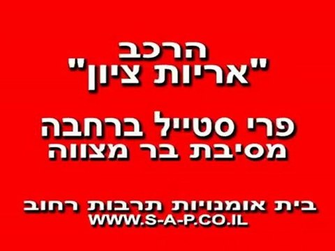 בר מצווה בסגנון שלך - רחבה תוססת באירועי בר מצווה