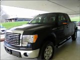 2010 Ford F-150 for sale in Carrolton OH - New Ford by ...