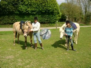 mes chevaux