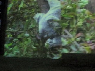 La cathédrale d'Image aux Beaux de Provence
