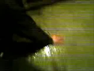 PRZYGODY ADAĹšKA CZÄĹšÄ† 1_1