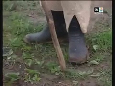 Pétrole du Maroc : Un arc-en-ciel ou mirage au fil des temps-Bouzalmat Omar