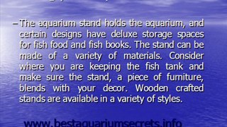 fishtank aquarium