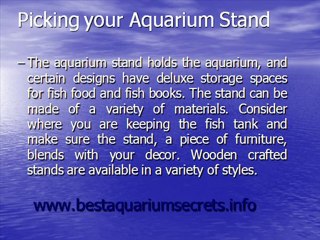 custom fish aquarium