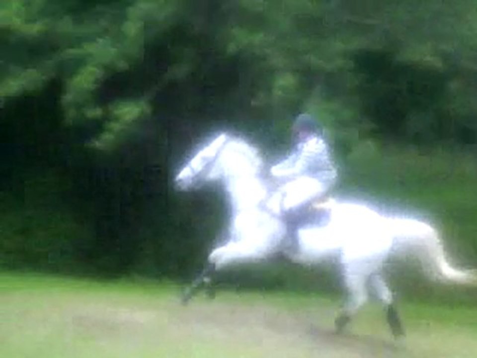 cross equitation