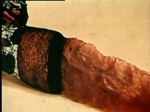 la Civilisations Du Soleil Pyramides De Mexico 2/3