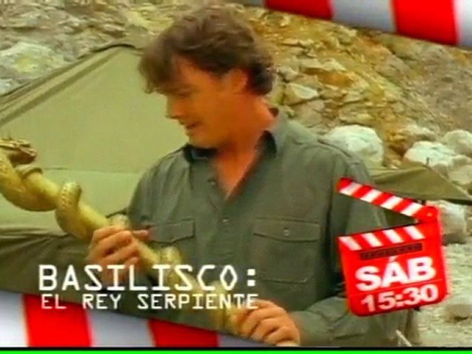 Basilisco: el rey serpiente