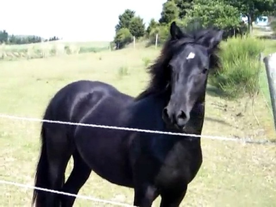 UbellaUteza