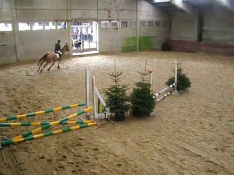 Concours du 28 février 2010; 60/70 cm