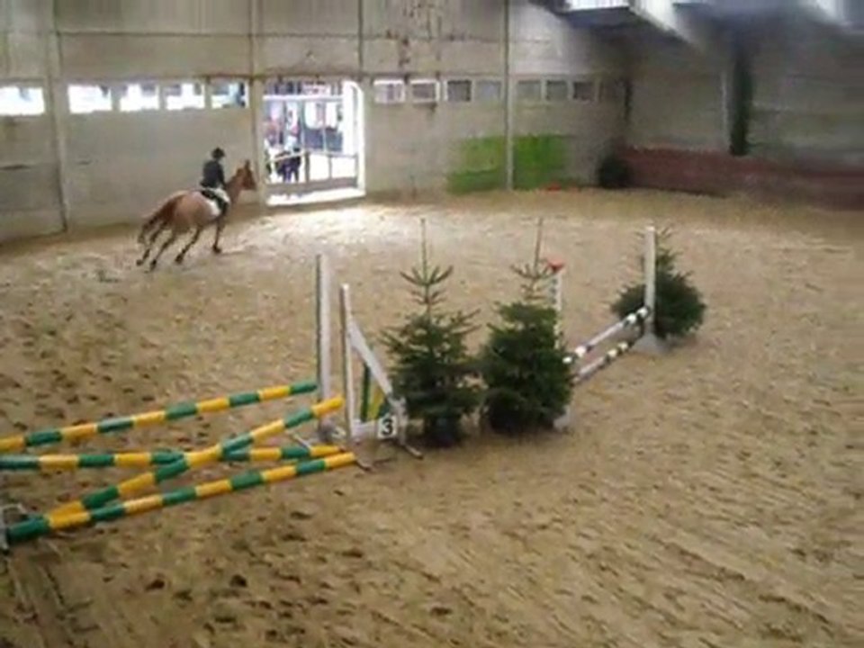 Concours du 28 février 2010; 60/70 cm