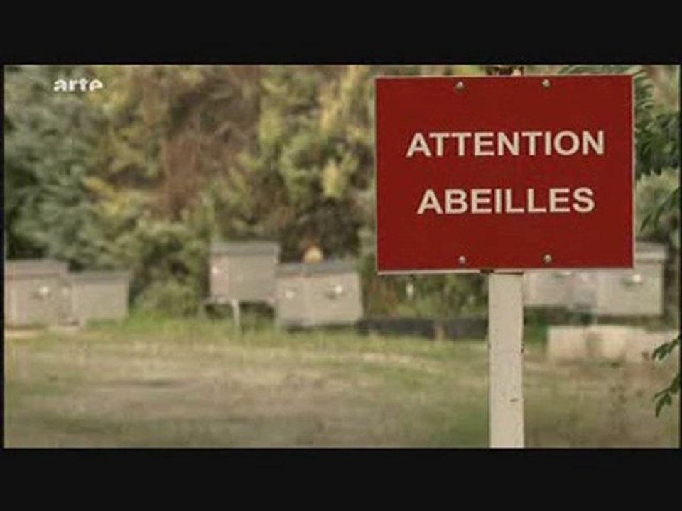 Disparition des abeilles = Danger pour l'homme 3/5
