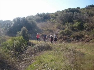 LA COURSE DE L'AUTOMNE