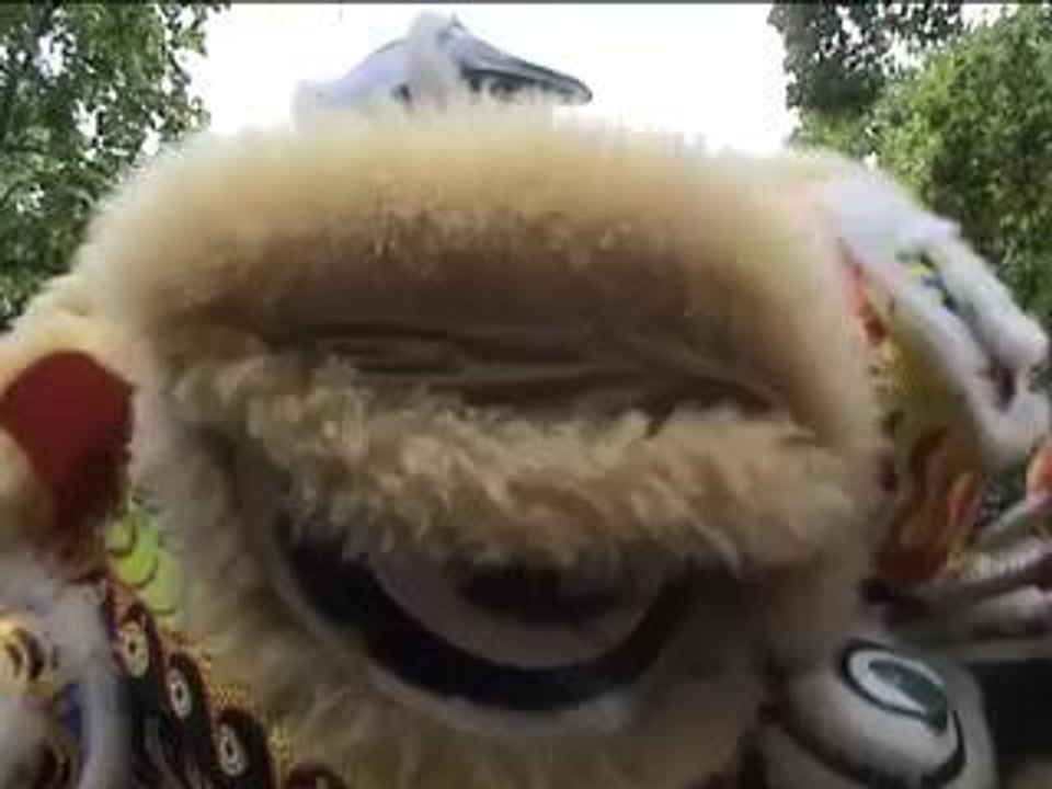 Lion-dance
