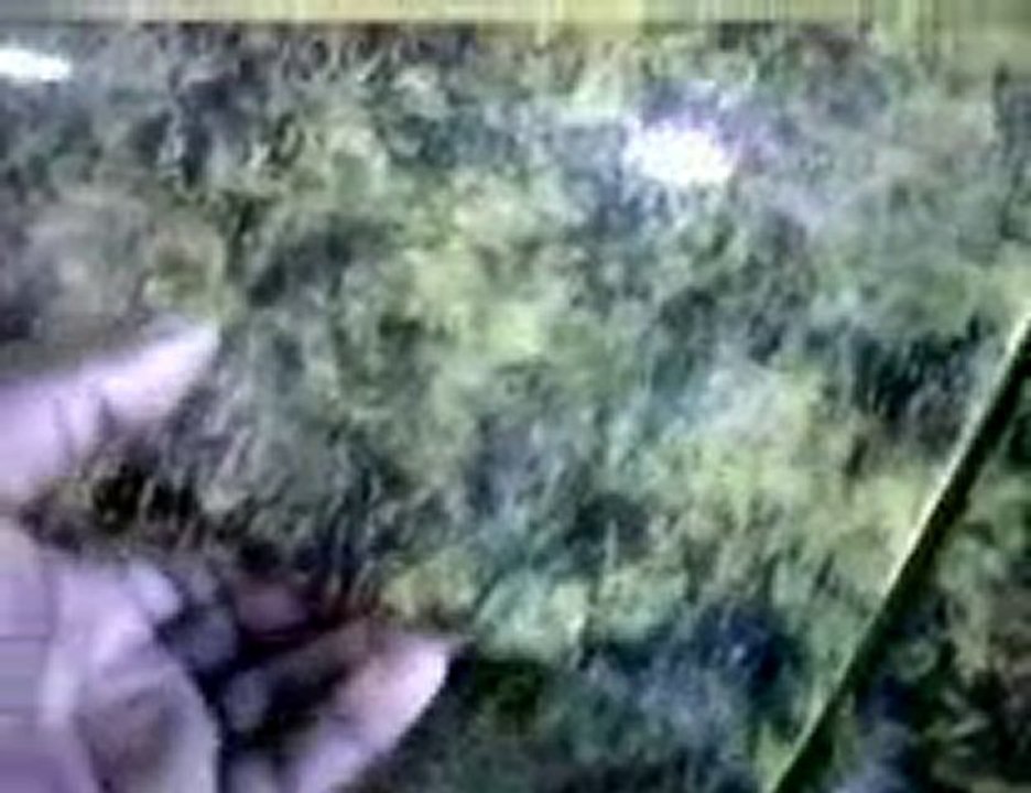 AUTO TWERKS TACOMA