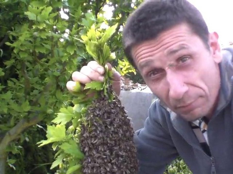 esssaim 19.05.2010