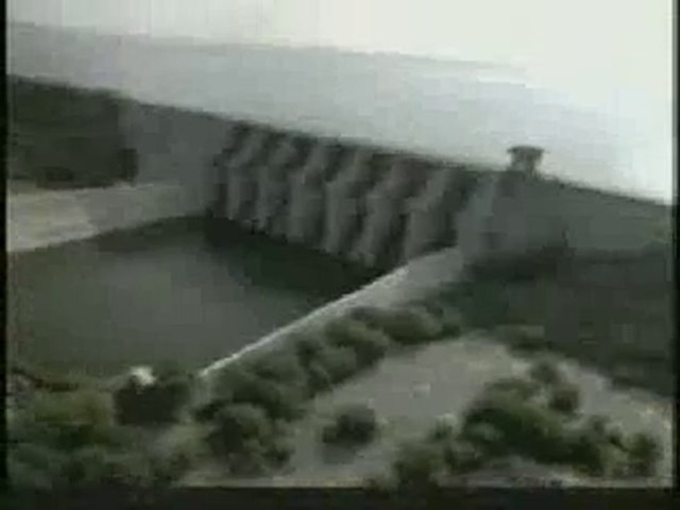 NL Estado de progreso 2004