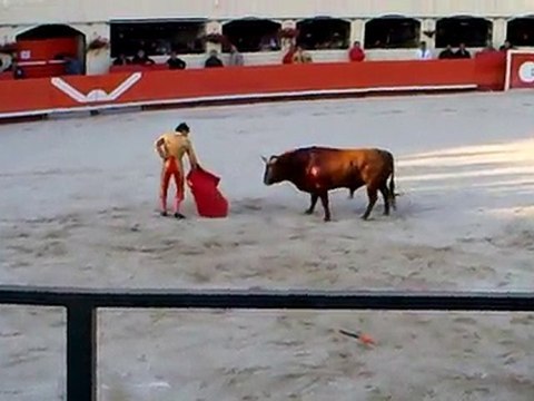 Alès 2010: Julien Miletto à son 2d Baltazar Iban