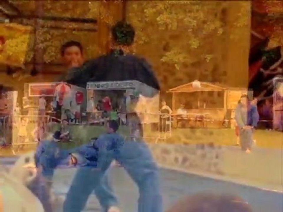 Mix Vovinam Performance