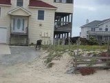 Wild Horses - OBX