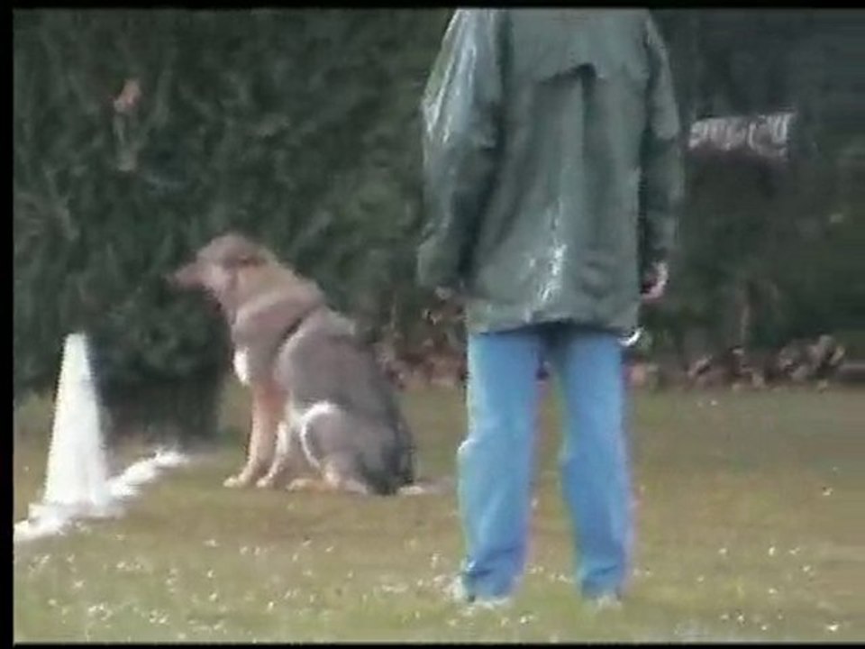 diwan ring 1 le 16 mai 2010