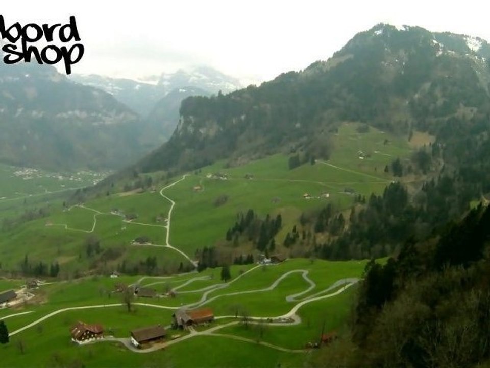 Swiss cheese