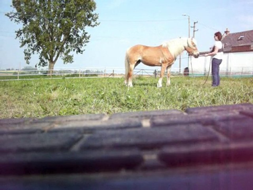 Reprise du travail au sol avec IciPam