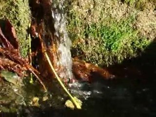 L'accent du terroir ,,,