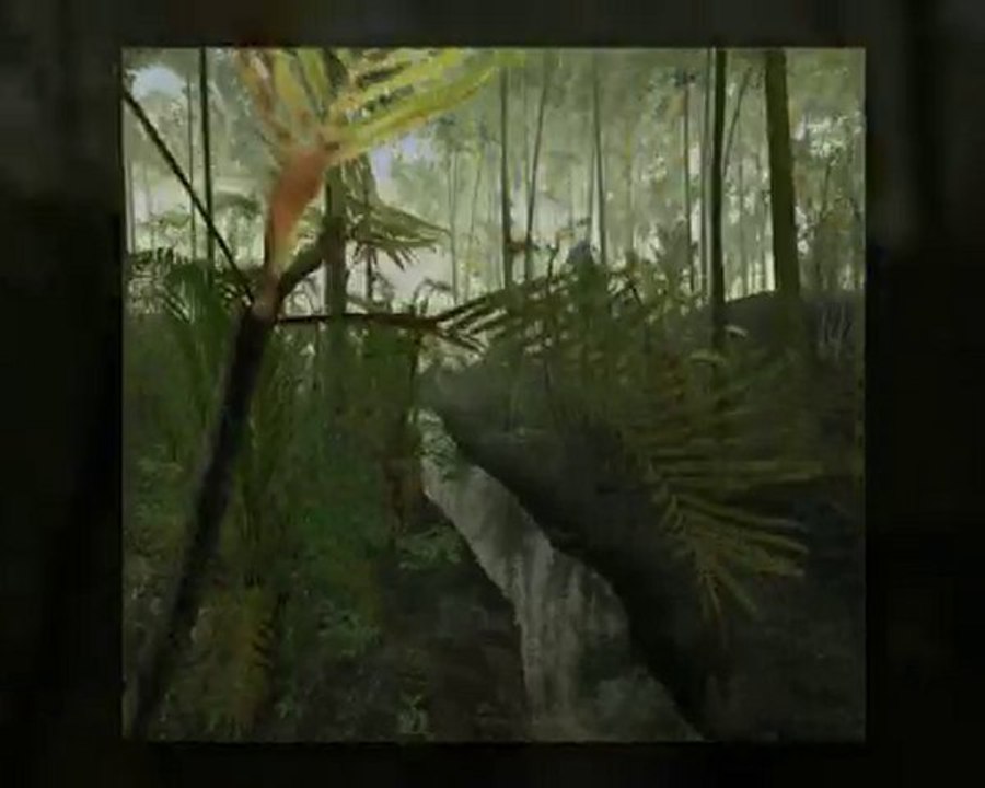 Survol de la jungle virtuelle