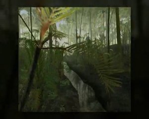 Survol de la jungle virtuelle