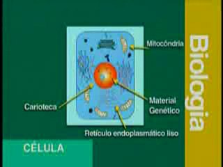 01_Organização Estrutural dos Seres Vivos