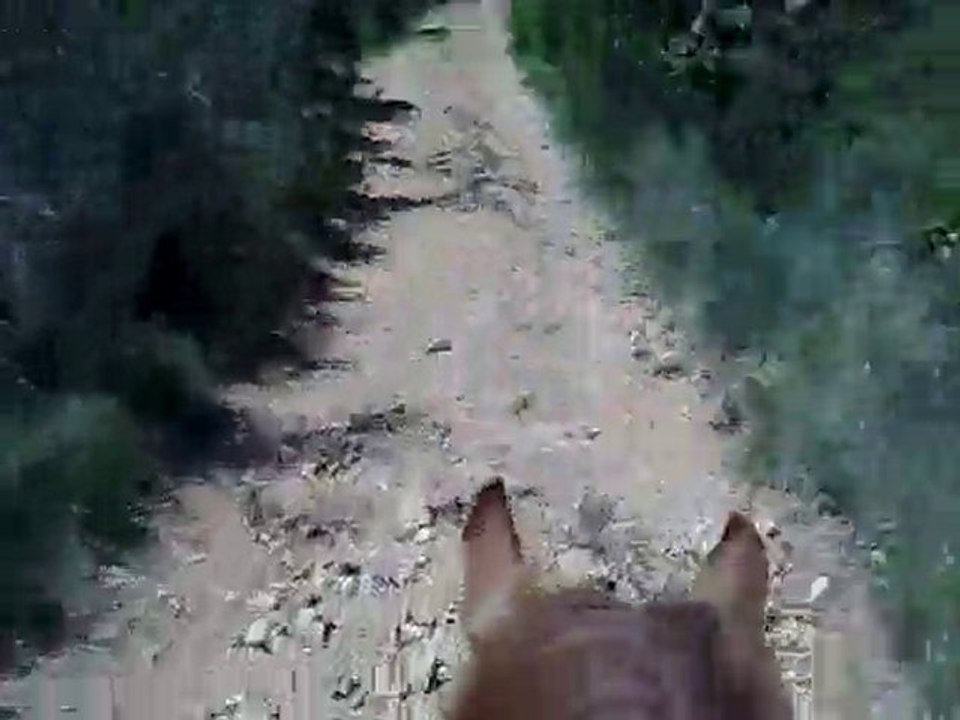 20 mai 2010 n°4 - Rhooooo !!!