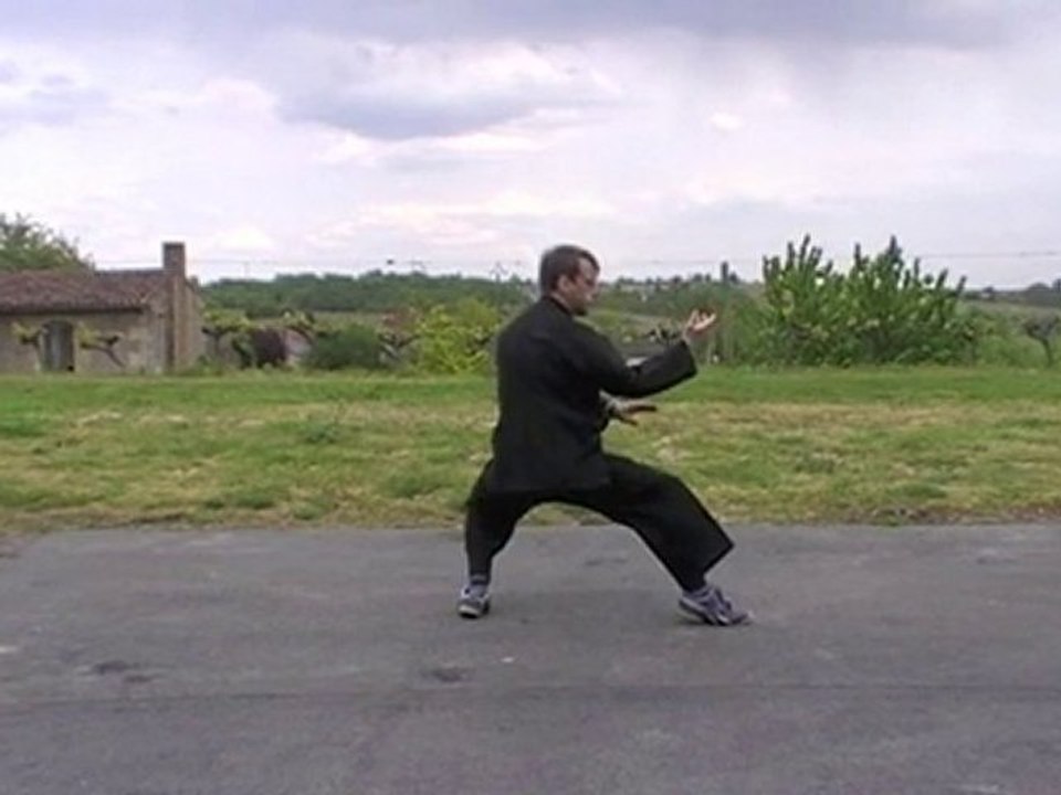 2° duan-2°part-Yangjia Michuan Taiji Quan